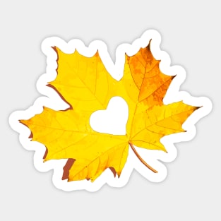 Maple Leaf Sticker